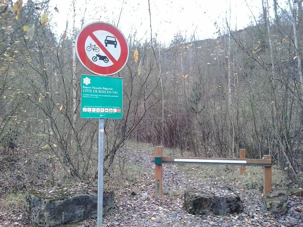 Réserve Naturelle de Boisenval, Charleville-Mézières - photo 2
