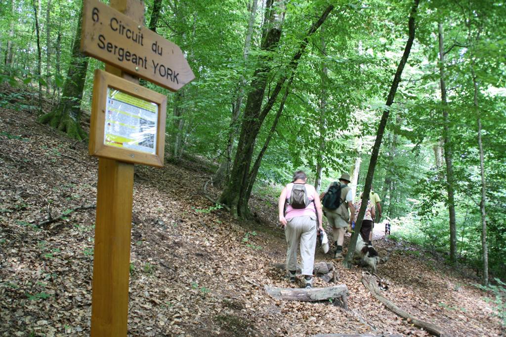 Le Sergent York, héros américain, Chatel-Chéhéry - photo 2