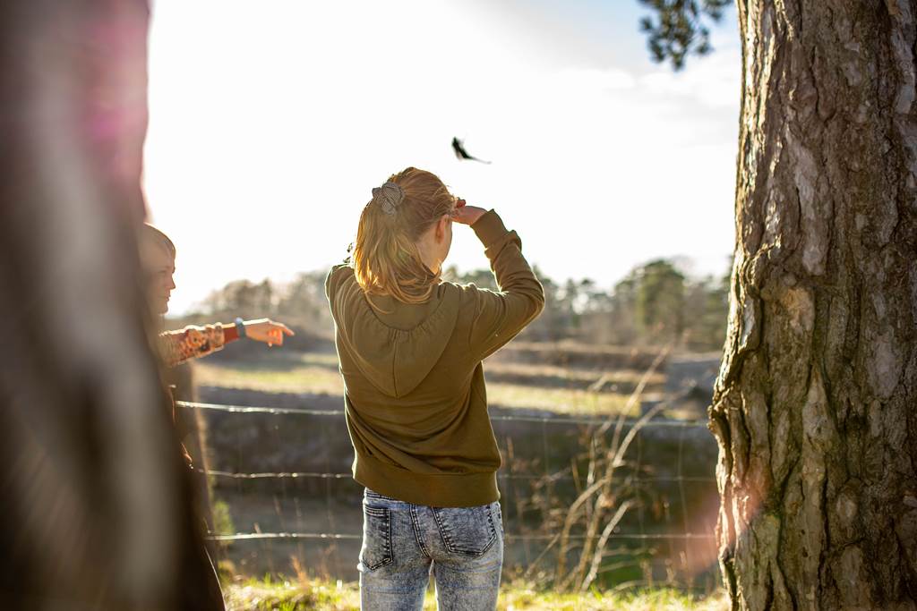 Charlemont, Givet - photo 7