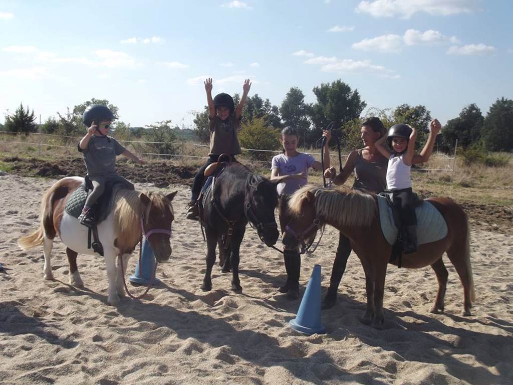Stages d'équitation