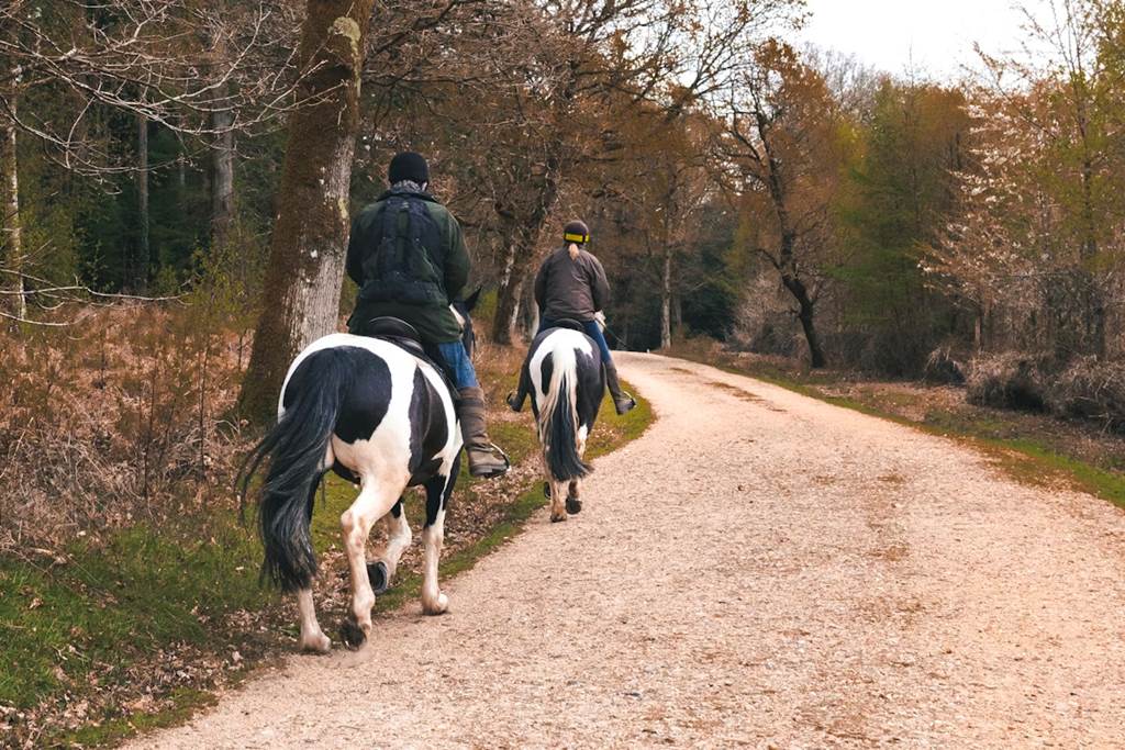 Rallye de la Houille, Landrichamps