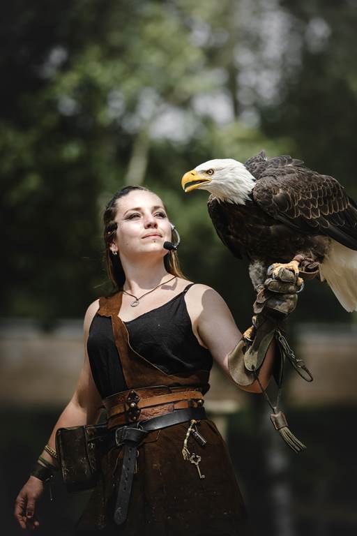 Le Vol des oiseaux : spécial Viking
