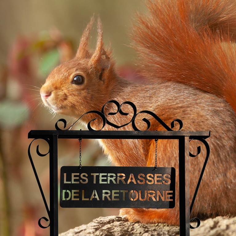 Gîte n°412 "LES HIBOUX"