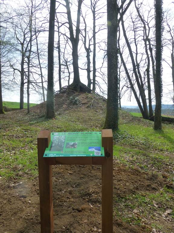 Arboretum de Vrigne Aux Bois, Vrigne aux Bois - photo 4