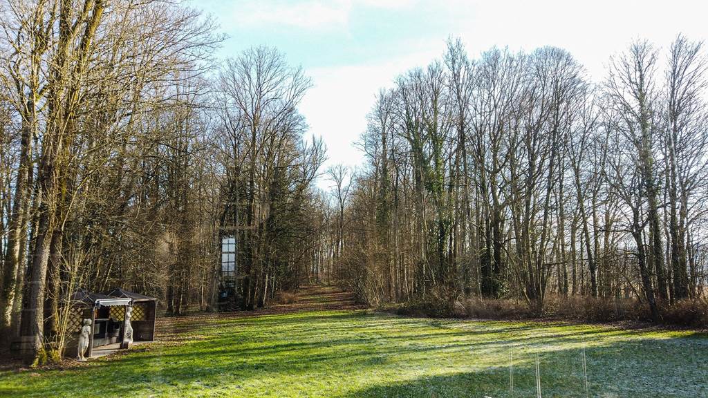 Château de Montaubois, Signy-l'Abbaye - photo 11