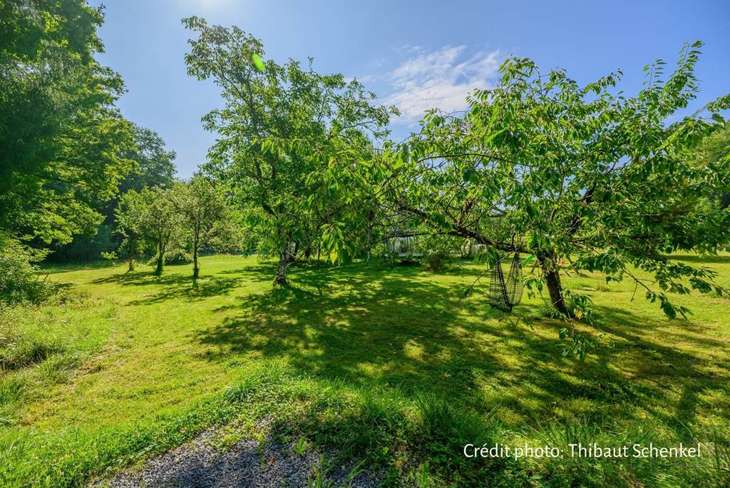 Créa au Naturel Les Cinq Mésanges — photo 2