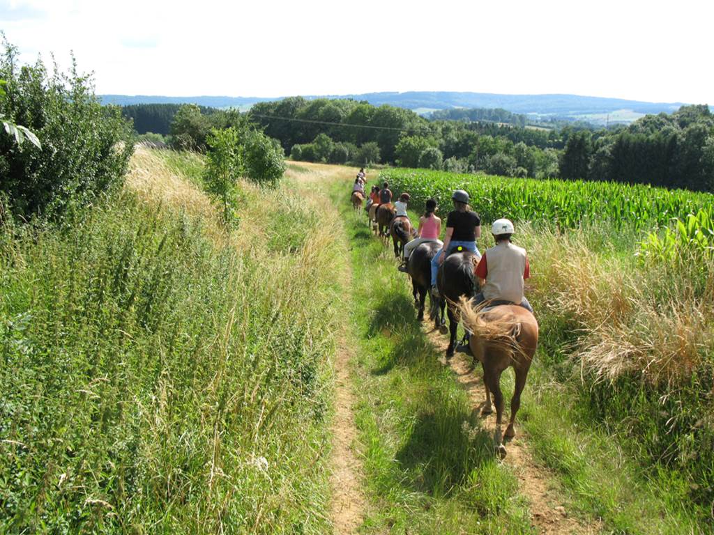 Ferme équestre de la Chenaie