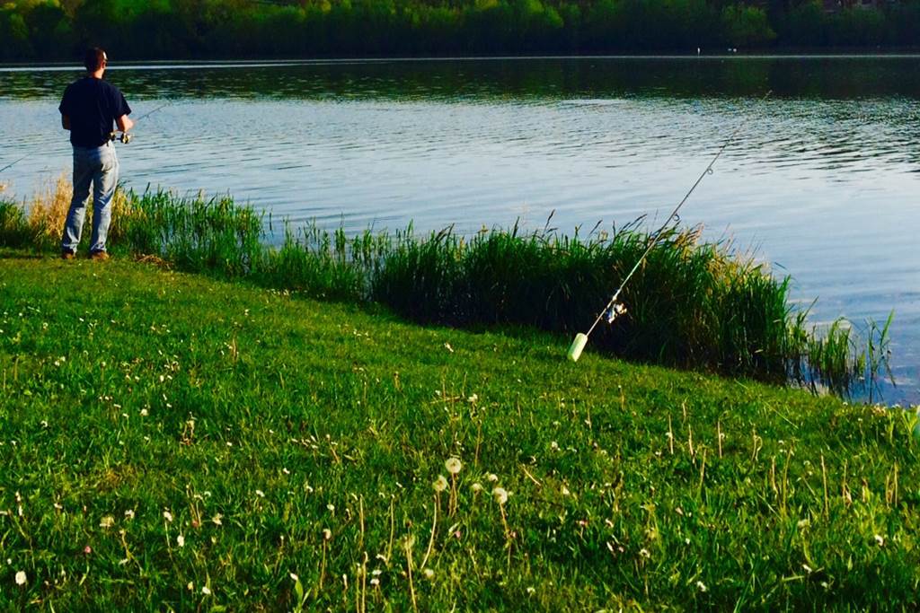 Gîte du Lac de Bairon — photo 3