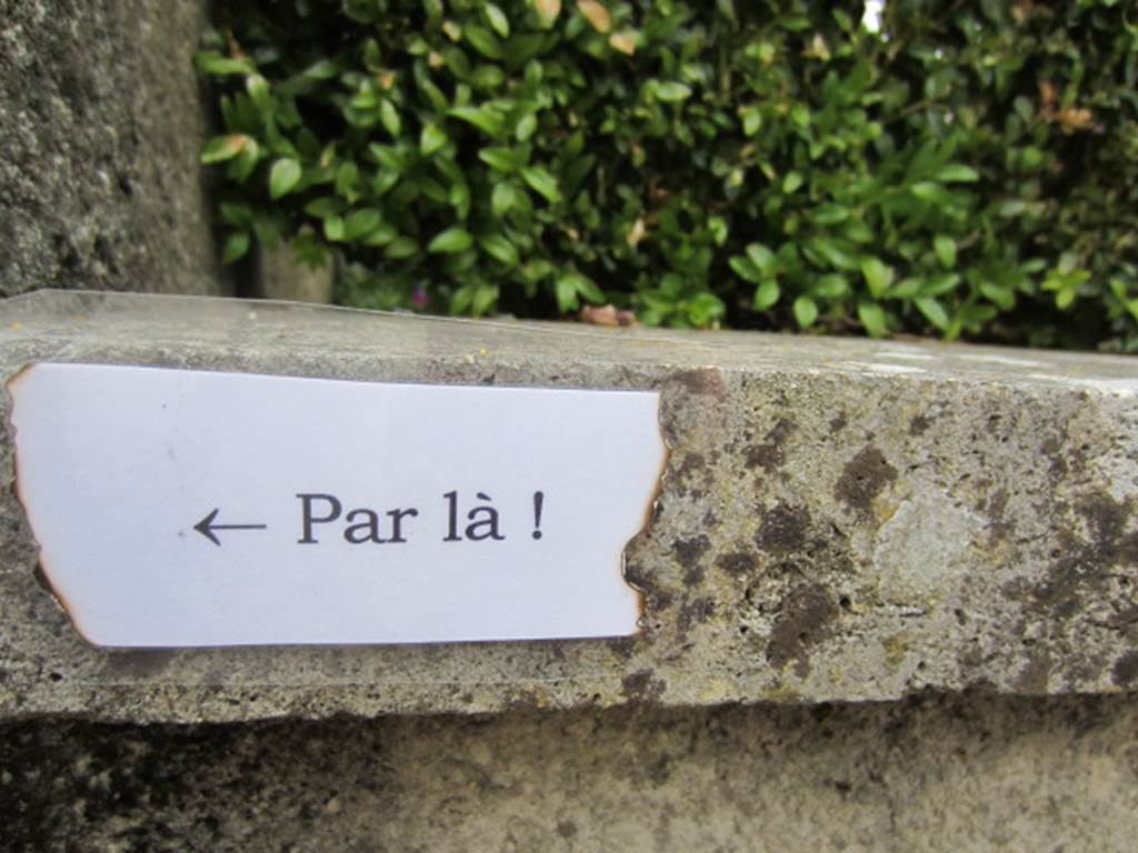 photo de sandy