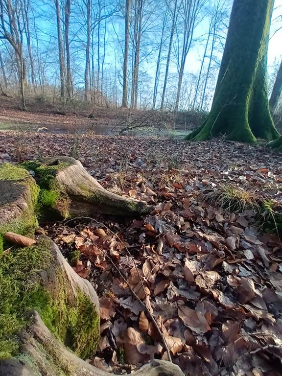 Ecothérapie dans la nature ! Juliette  Cheriki-Nort