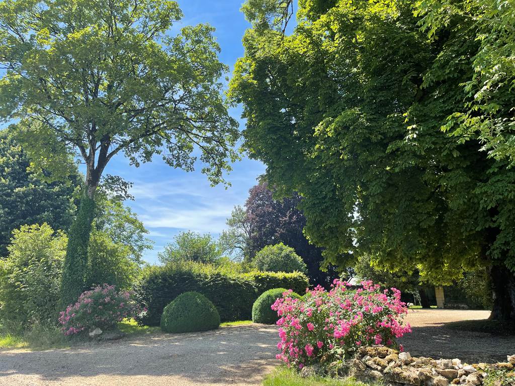Domaine des Loches, Mazerny - photo 12