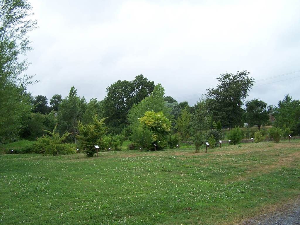 L' ECHELLE, L'Échelle - photo 3