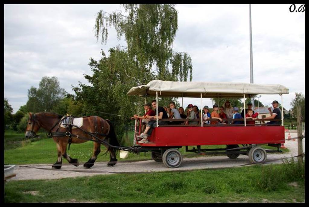 Camping Aux Sabots de Vent, Chuffilly-Roche - photo 4