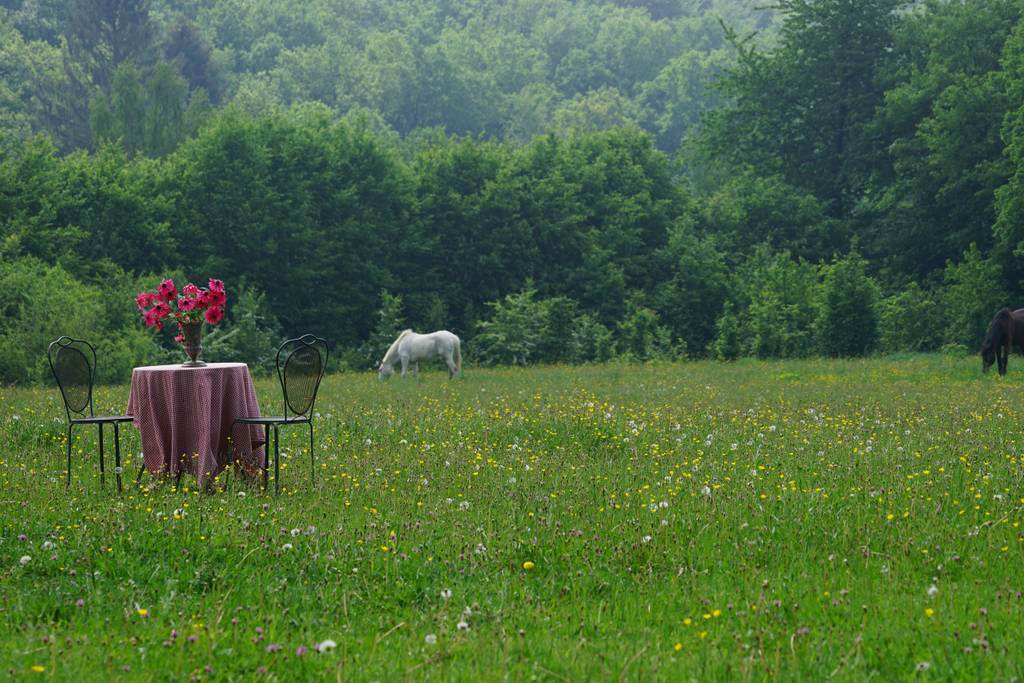 Gîte "La Cabane des Gitans"
