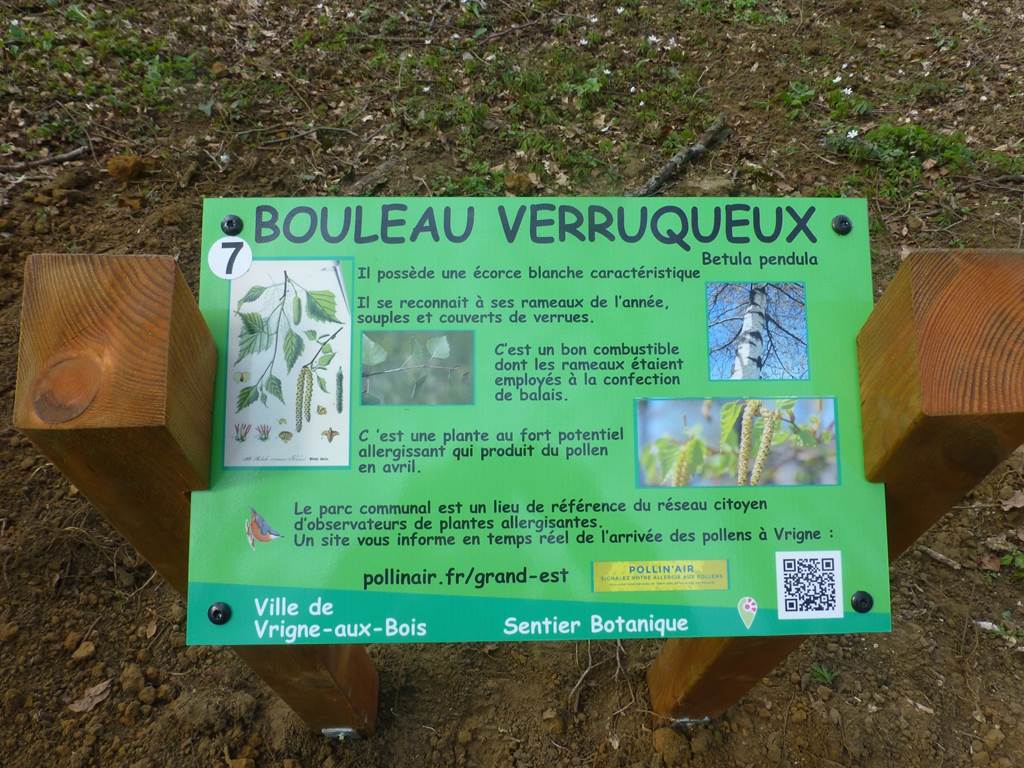 Arboretum de Vrigne Aux Bois, Vrigne aux Bois - photo 6