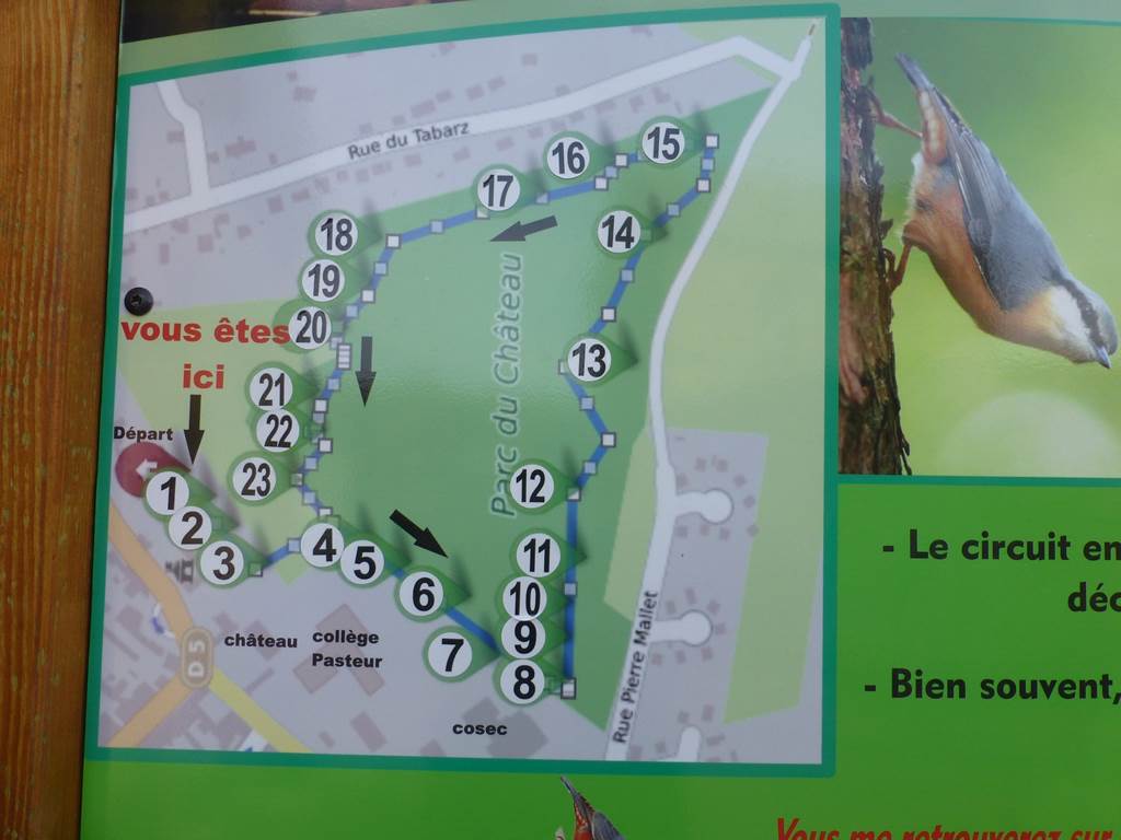 Arboretum de Vrigne Aux Bois, Vrigne aux Bois - photo 5