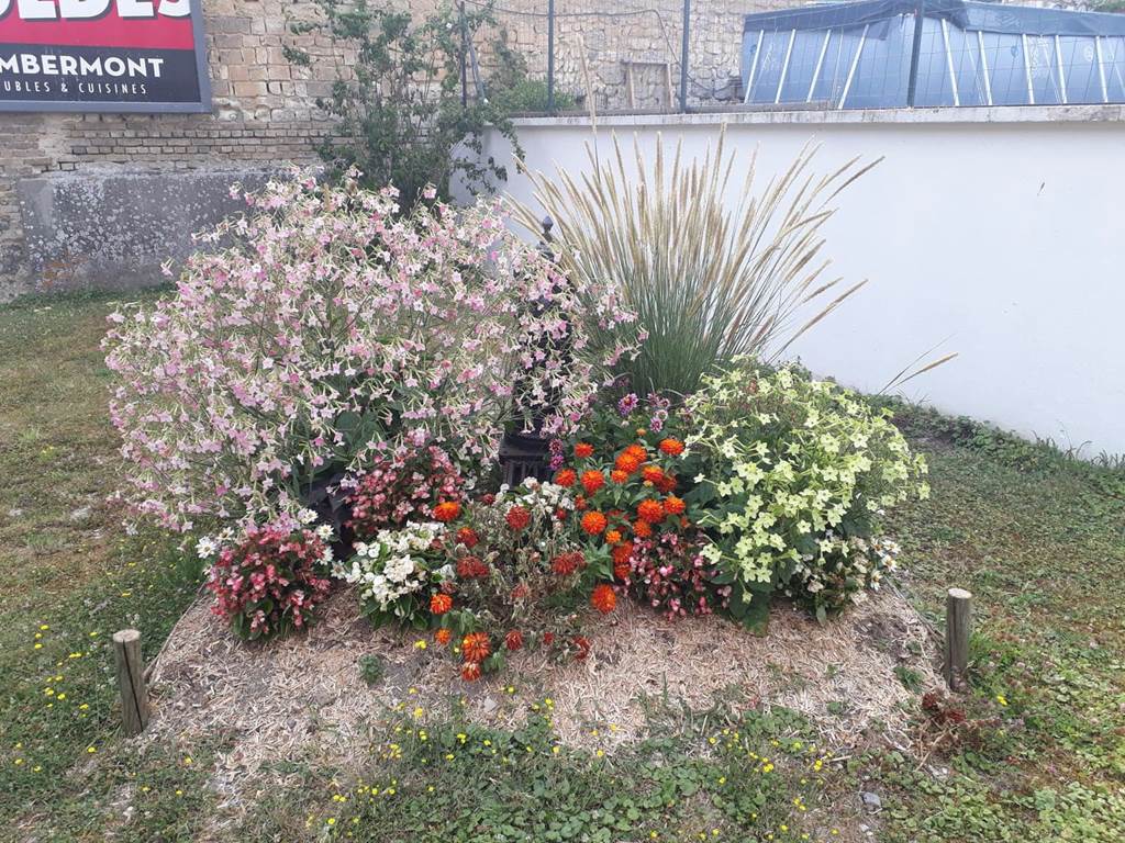 Saint-Loup-en-Champagne - Village Fleuri "1 fleur", Saint-Loup-en-Champagne - photo 2