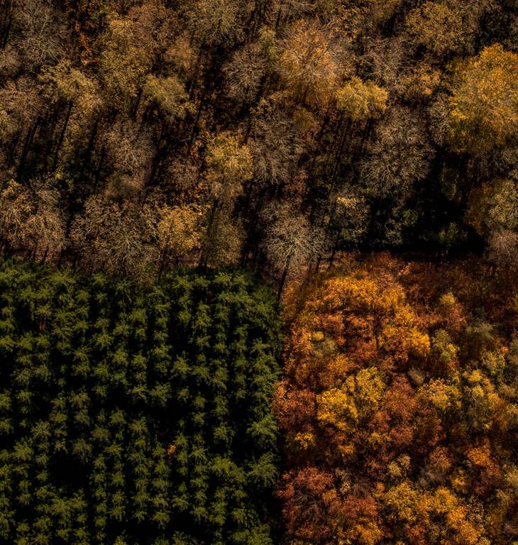 Ardenne trace de Trail - photo 4