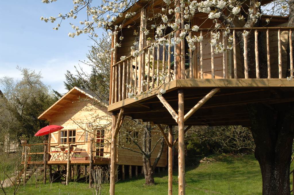 Cabane dans l'arbre - Etapeboisée "Cerise"