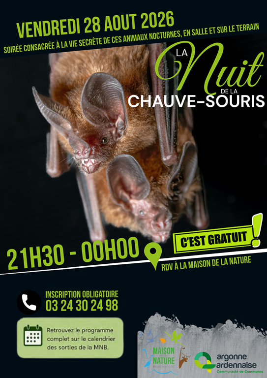 Nuit de la Chauve-Souris