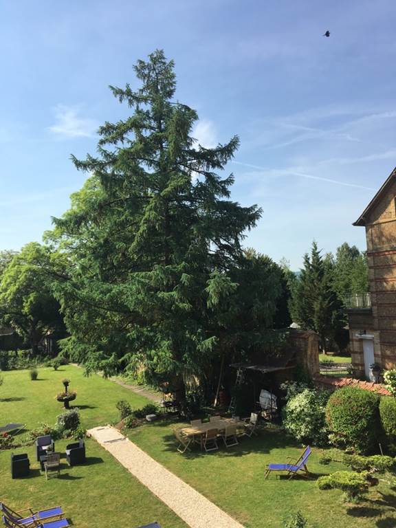 Chambre d'hôtes - Un week-end en Ardenne — photo 2