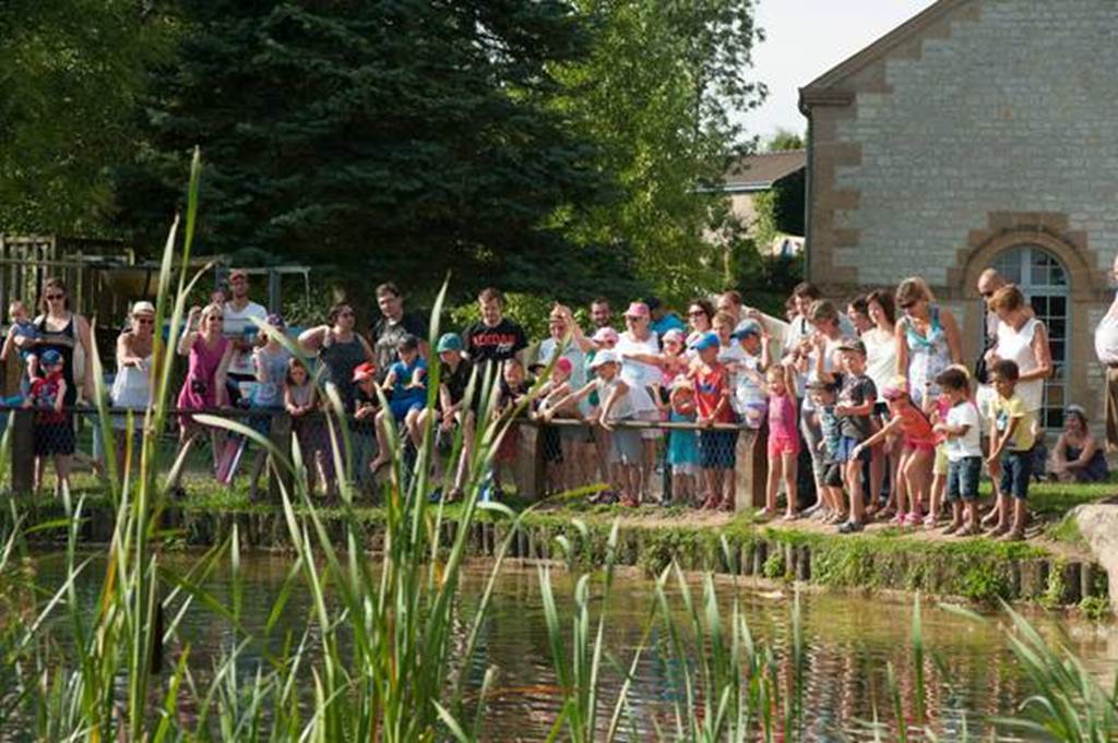 Domaine de Vendresse, Vendresse - photo 3