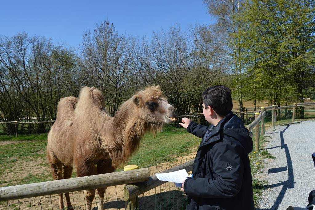 Arche de Noé - photo 5