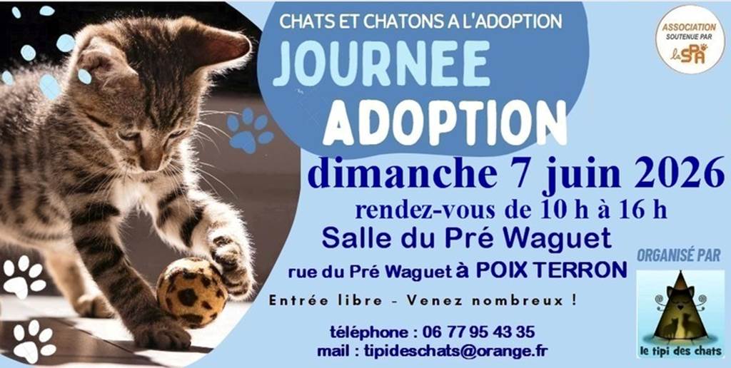 Journée adoption chats et chatons