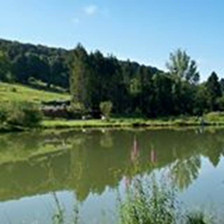 Les étangs d'Elan  France Grand Est Ardennes Flize 08160