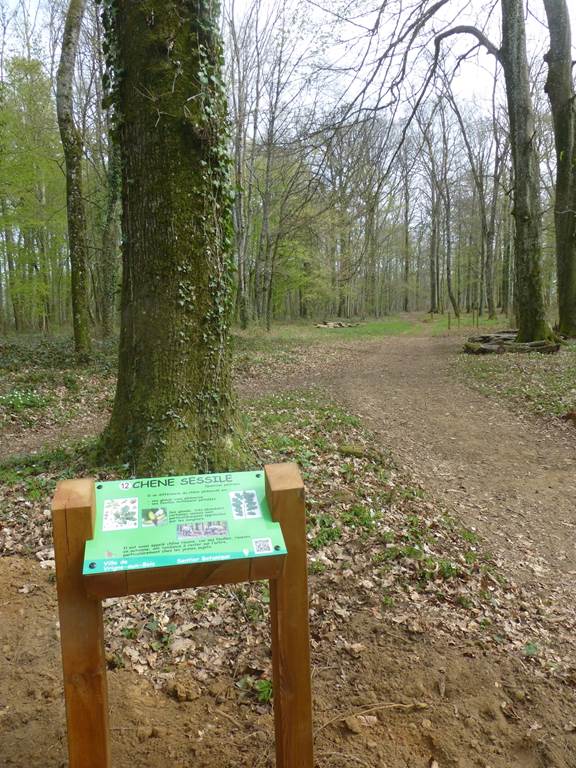 Arboretum de Vrigne Aux Bois, Vrigne aux Bois