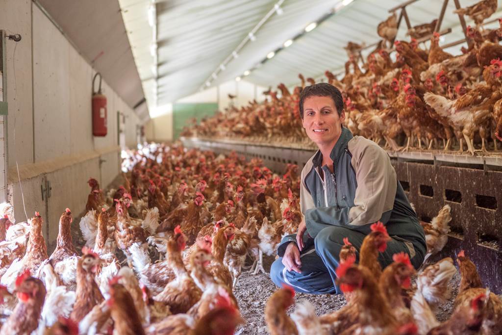 Gaec de la Vallée Blanche