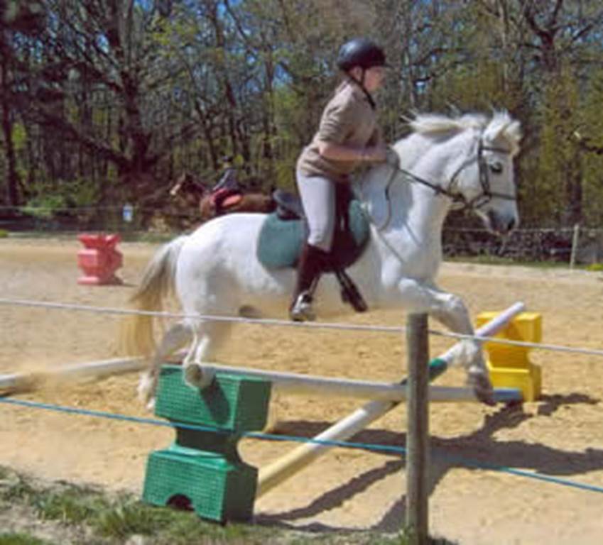 Ecole du cheval