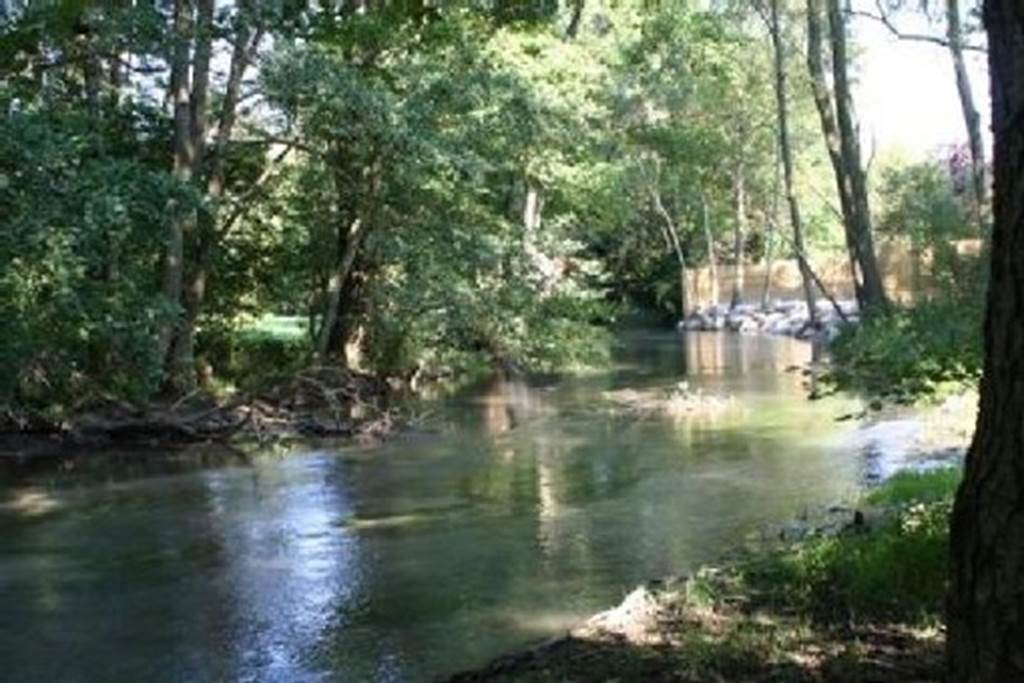 Les Gîtes de Saint-Rémy — photo 3