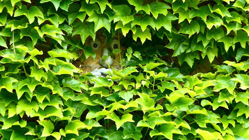 SURY, Village Fleuri "3 Fleurs", Sury