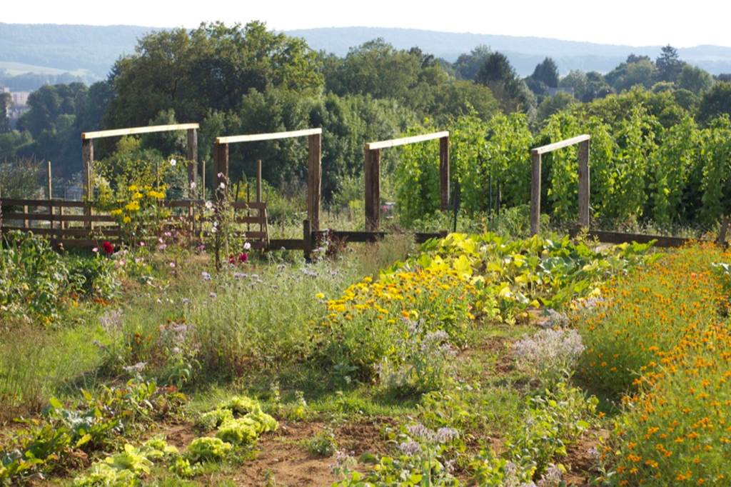 Les Jardins Familiaux de Sedan (depuis 1889), Sedan - photo 6