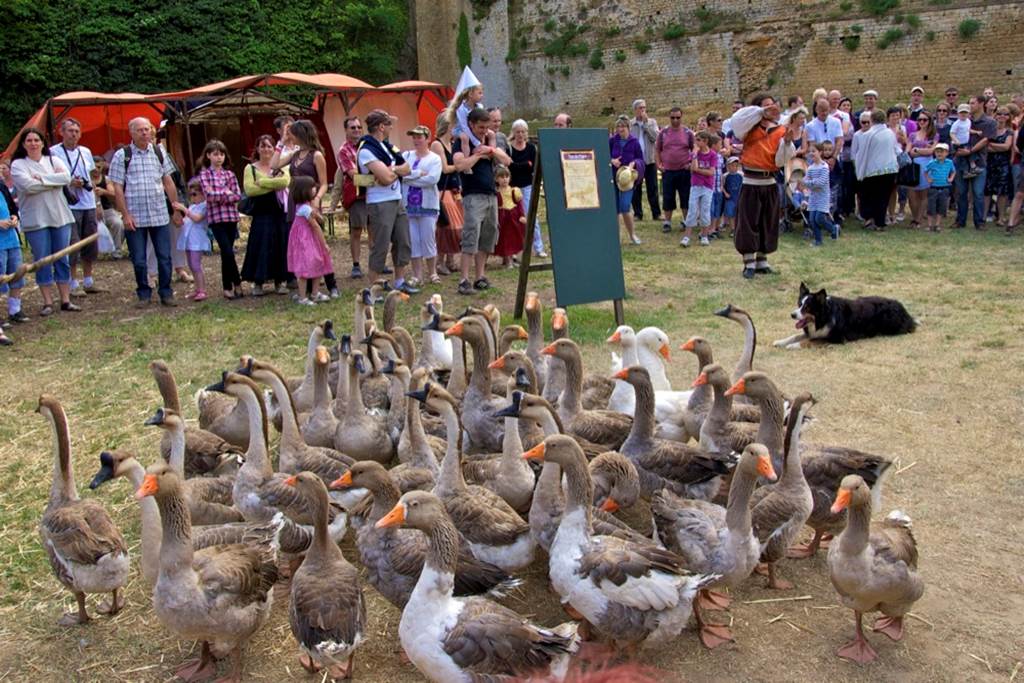 Festival Médiéval de Sedan, Sedan - photo 14