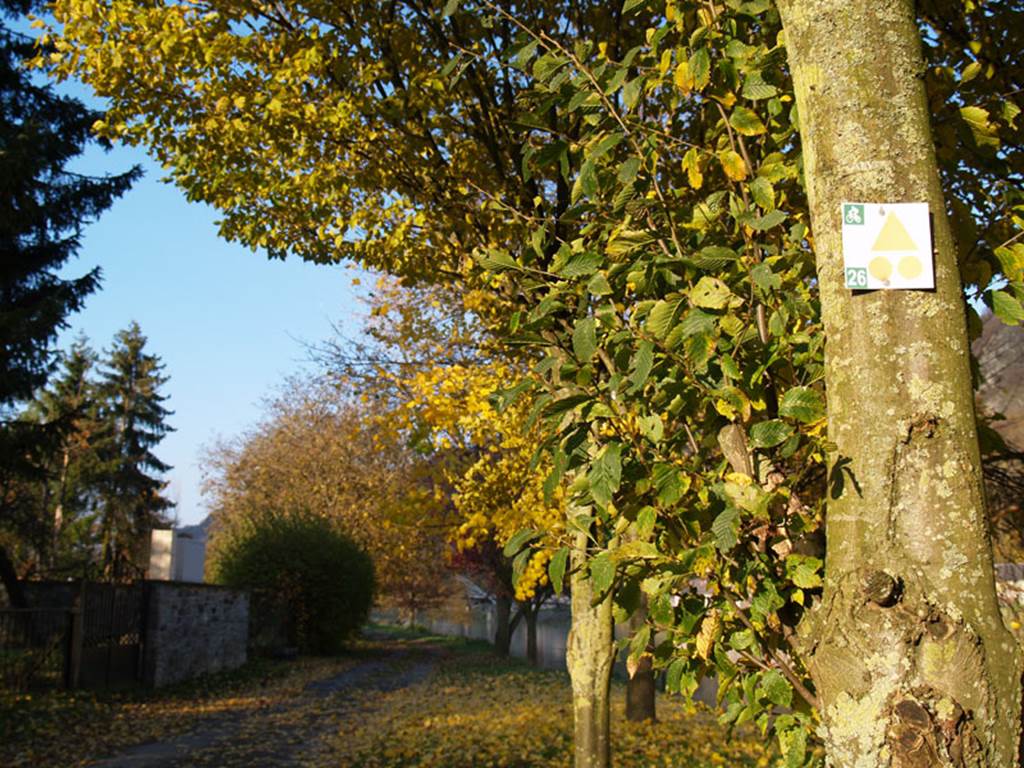 Village de Chooz, Chooz - photo 6