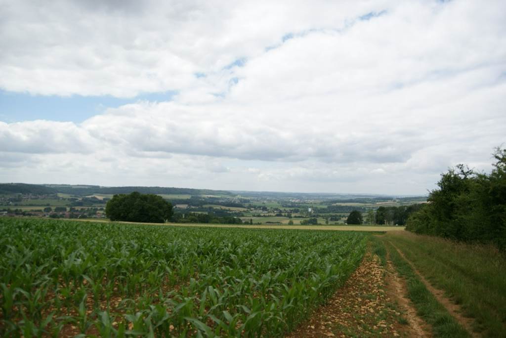Point de vue de la Croix Piot, Donchery - photo 5