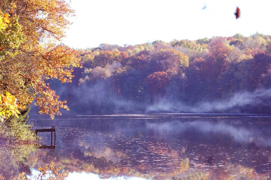 L'igl'houx, Brognon - photo 9