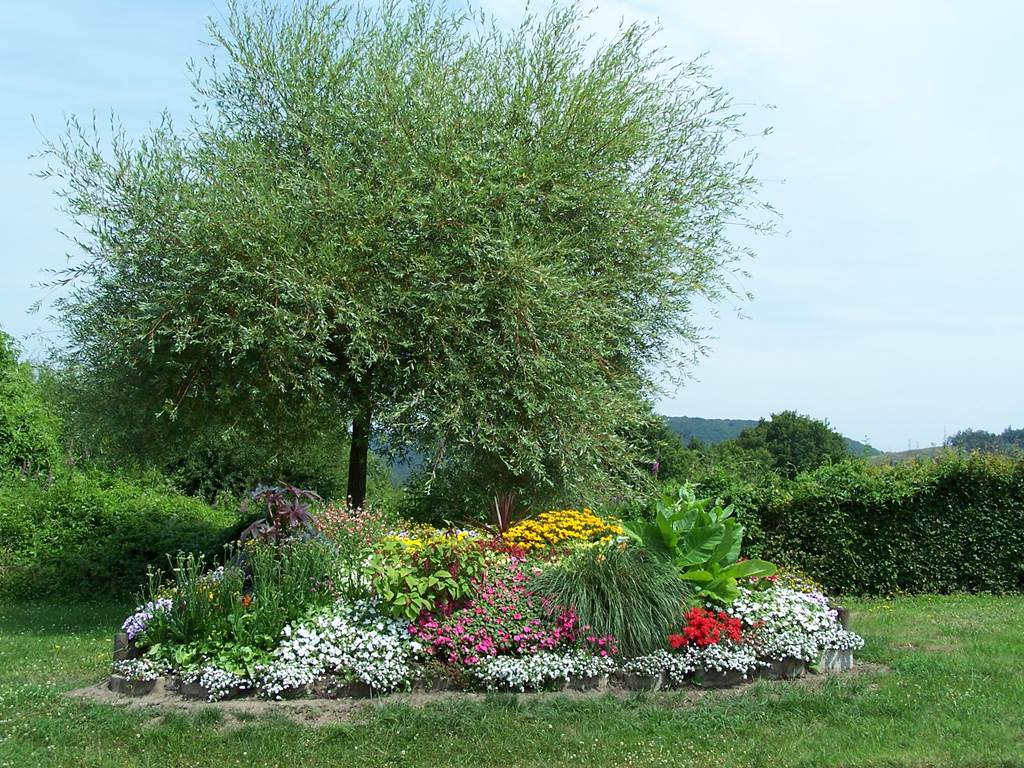 MATTON ET CLEMENCY, Village Fleuri "3 Fleurs", Matton-et-Clémency