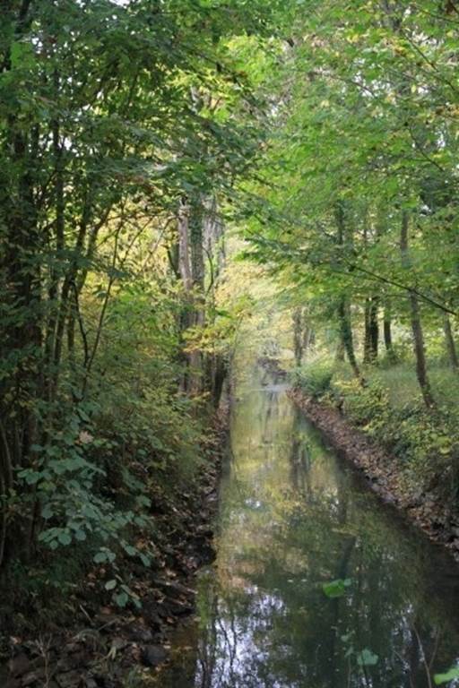 Belle balade de La Francheville à St Marceau - Bord de Vence