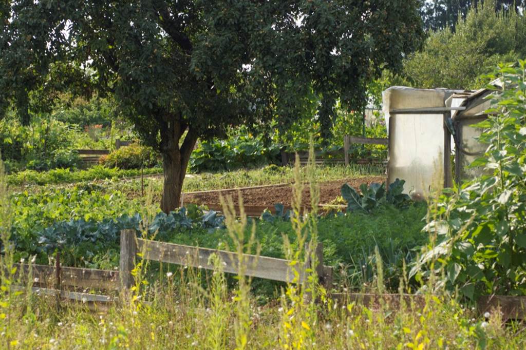 Les Jardins Familiaux de Sedan (depuis 1889), Sedan - photo 5