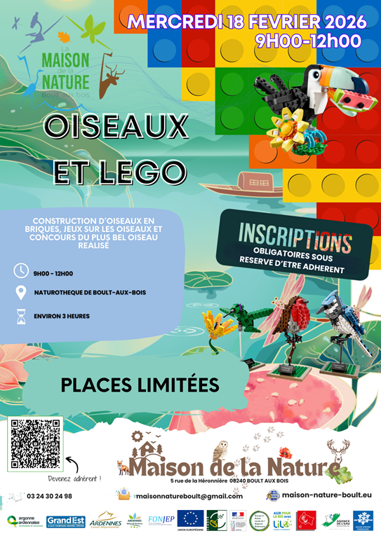 Oiseaux et légos
