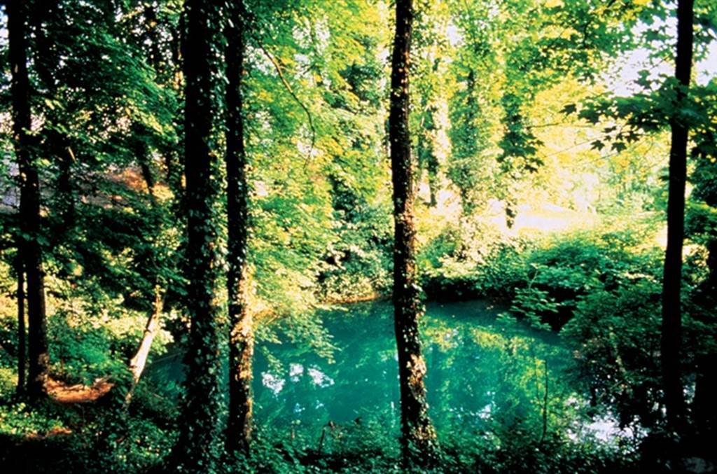 Circuit du Bois de Néparcy, Thin-le-Moutier - photo 2