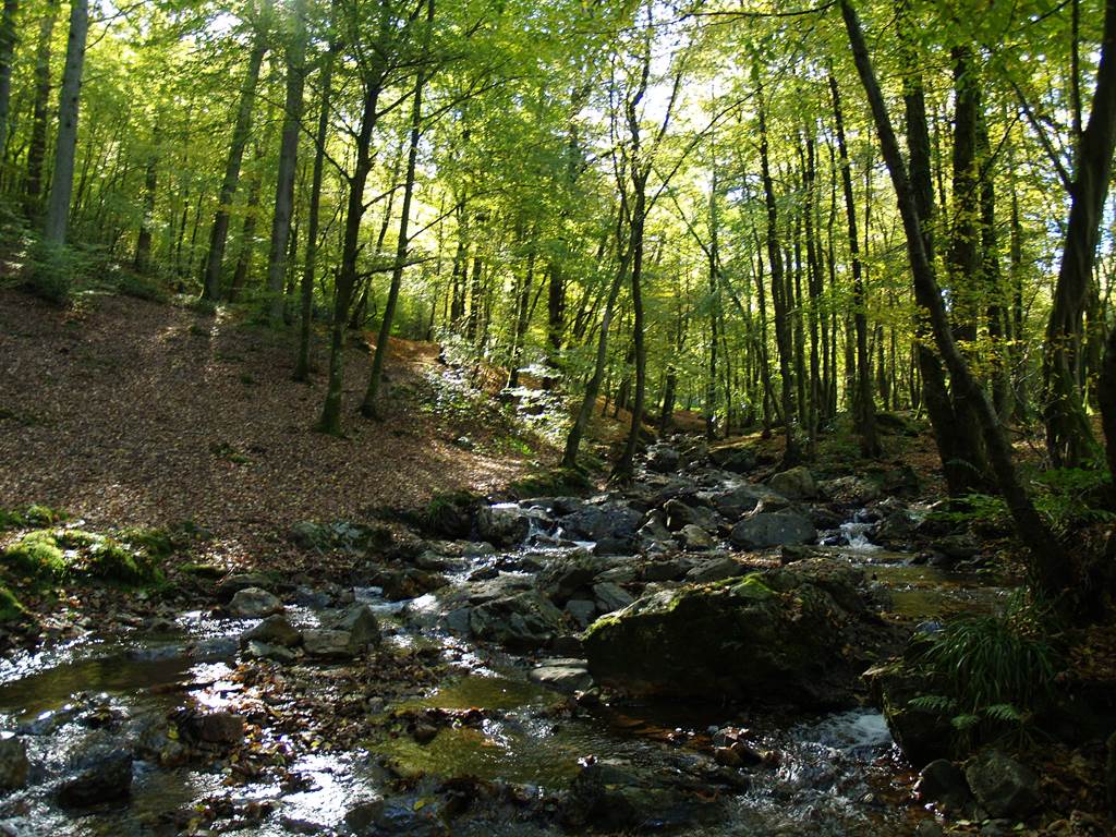 Randonnée Ardoise et Légendes, Haybes