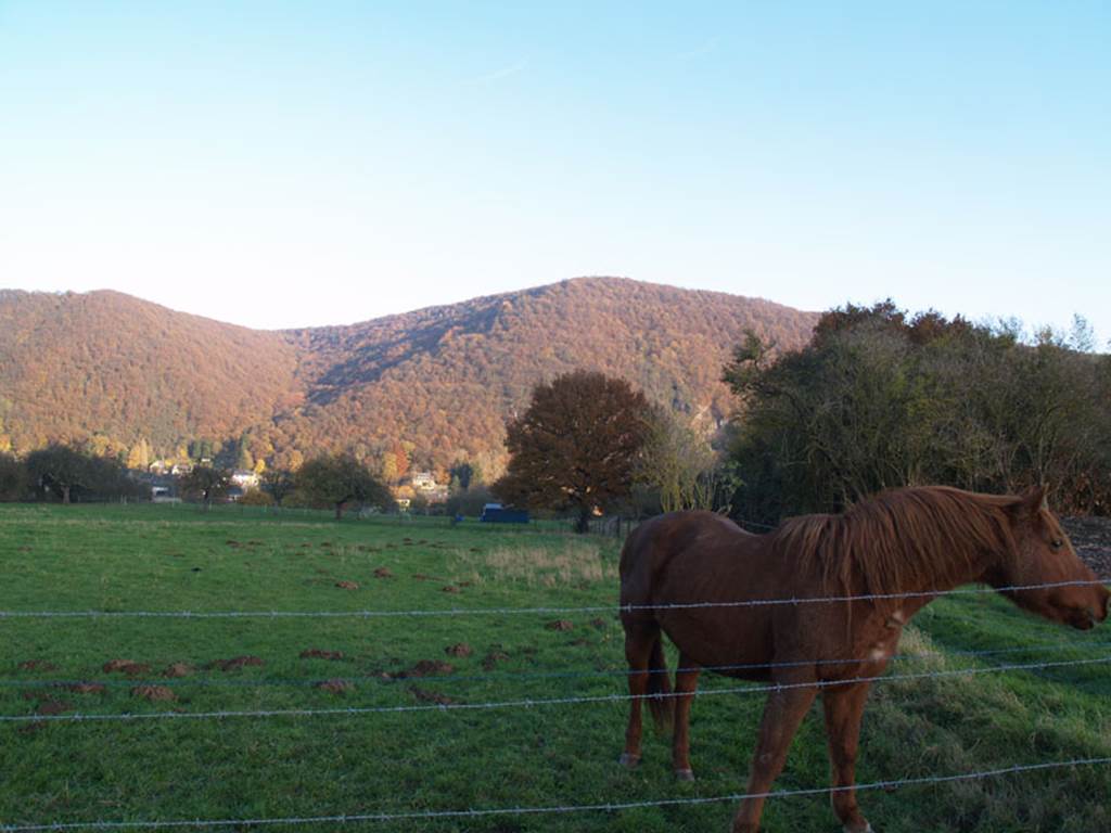 Village de Chooz, Chooz - photo 2