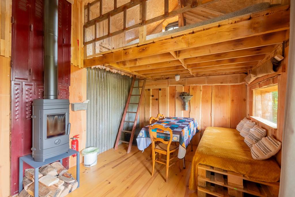 Cabanes du Vichaux : Le putois — photo 3