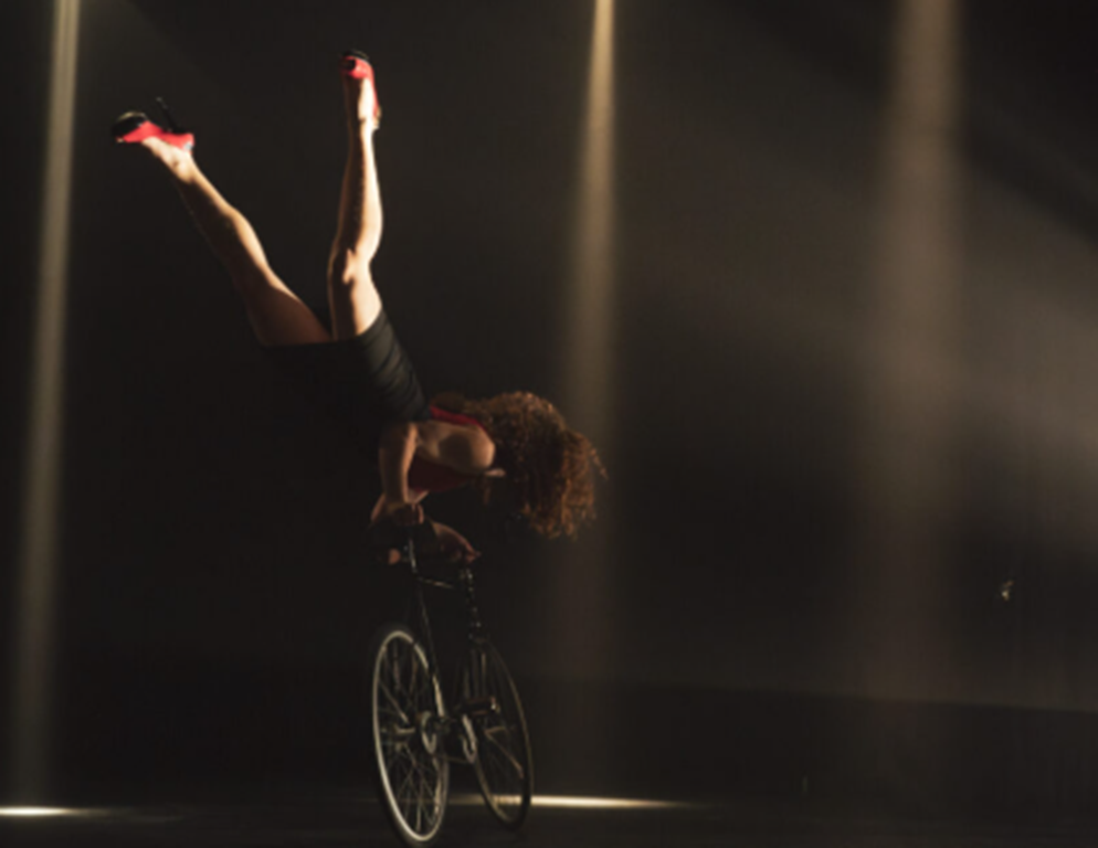 Théâtre : La Bête Noire & Petite Reine