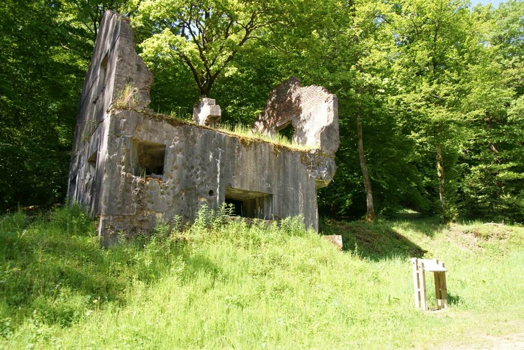 Maison Forte n°11 de la Hatrelle, Illy - photo 2