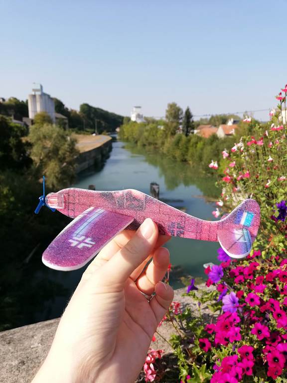 À la recherche de l'avion de Roland Garros - photo 2